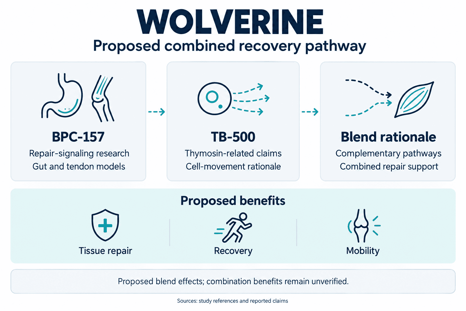WOLVERINE. Proposed combined recovery pathway. BPC-157: Repair-signaling research: Gut and tendon models. TB-500: Thymosin-related claims: Cell-movement rationale. Blend rationale: Complementary pathways: Combined repair support. Proposed benefits: Tissue repair, Recovery, Mobility. Proposed blend effects; combination benefits remain unverified.