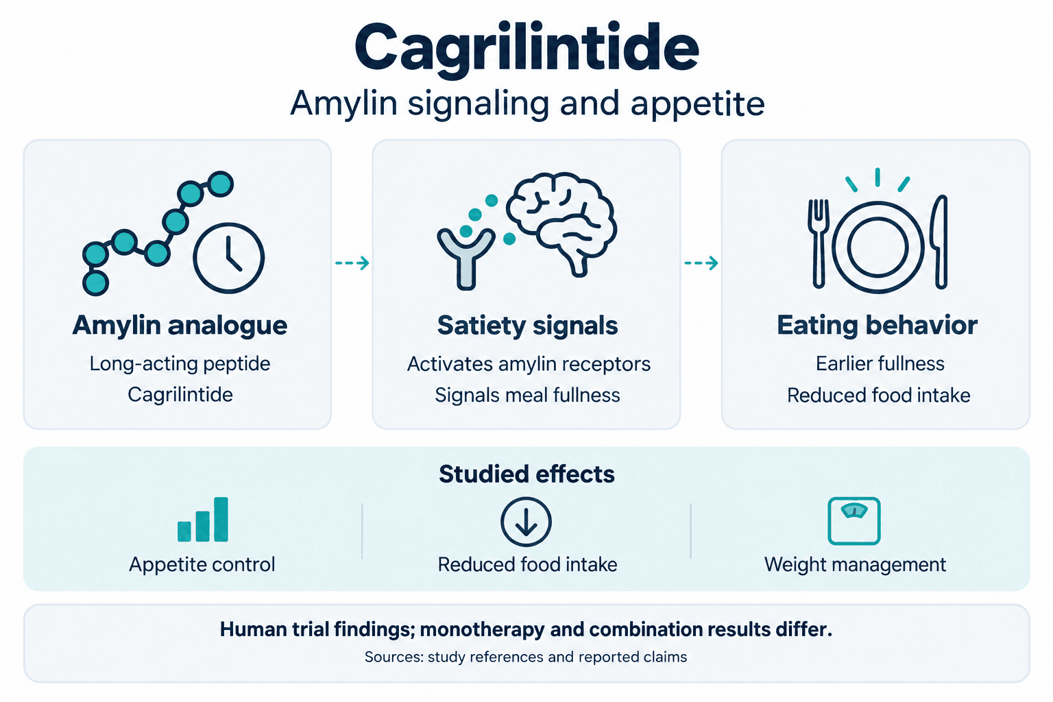 Cagrilintide. Amylin signaling and appetite. Amylin analogue: Long-acting peptide: Cagrilintide. Satiety signals: Activates amylin receptors: Signals meal fullness. Eating behavior: Earlier fullness: Reduced food intake. Studied effects: Appetite control, Reduced food intake, Weight management. Human trial findings; monotherapy and combination results differ.