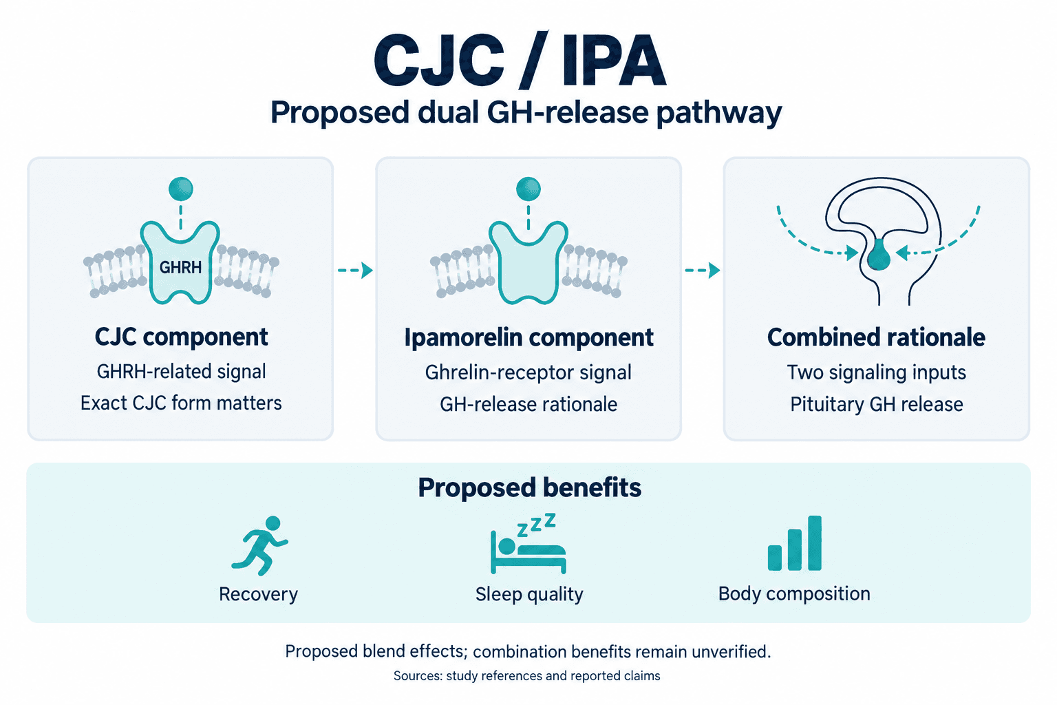 CJC / IPA. Proposed dual GH-release pathway. CJC component: GHRH-related signal: Exact CJC form matters. Ipamorelin component: Ghrelin-receptor signal: GH-release rationale. Combined rationale: Two signaling inputs: Pituitary GH release. Proposed benefits: Recovery, Sleep quality, Body composition. Proposed blend effects; combination benefits remain unverified.