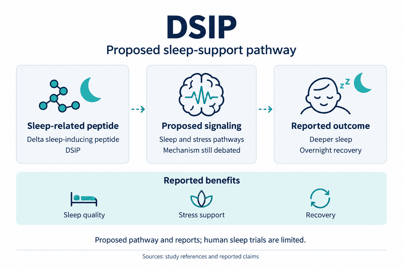 DSIP. Proposed sleep-support pathway. Sleep-related peptide: Delta sleep-inducing peptide: DSIP. Proposed signaling: Sleep and stress pathways: Mechanism still debated. Reported outcome: Deeper sleep: Overnight recovery. Reported benefits: Sleep quality, Stress support, Recovery. Proposed pathway and reports; human sleep trials are limited.