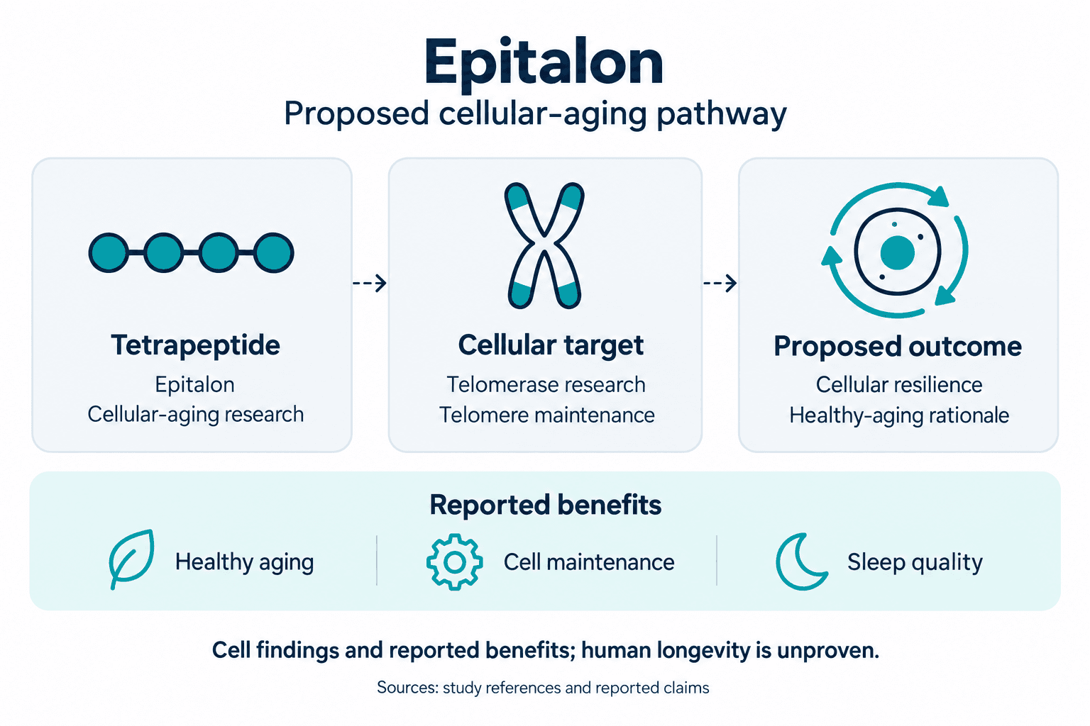 Epitalon. Proposed cellular-aging pathway. Tetrapeptide: Epitalon: Cellular-aging research. Cellular target: Telomerase research: Telomere maintenance. Proposed outcome: Cellular resilience: Healthy-aging rationale. Reported benefits: Healthy aging, Cell maintenance, Sleep quality. Cell findings and reported benefits; human longevity is unproven.