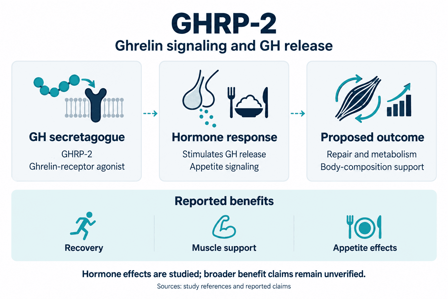 GHRP-2. Ghrelin signaling and GH release. GH secretagogue: GHRP-2: Ghrelin-receptor agonist. Hormone response: Stimulates GH release: Appetite signaling. Proposed outcome: Repair and metabolism: Body-composition support. Reported benefits: Recovery, Muscle support, Appetite effects. Hormone effects are studied; broader benefit claims remain unverified.