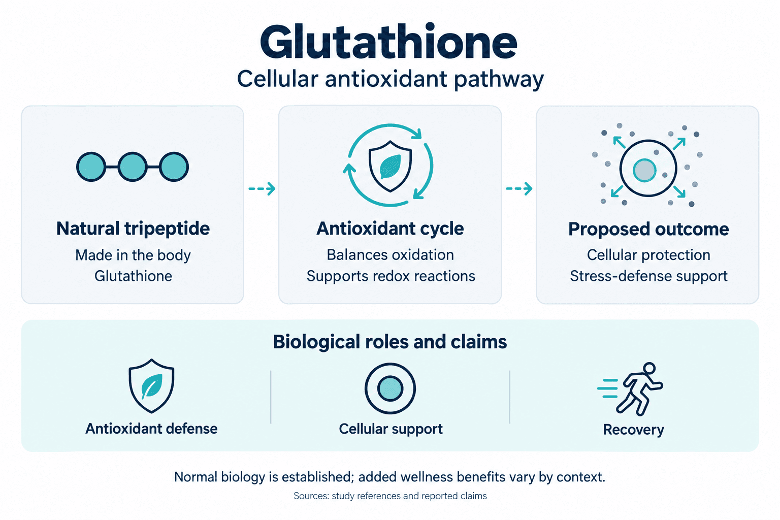 Glutathione. Cellular antioxidant pathway. Natural tripeptide: Made in the body: Glutathione. Antioxidant cycle: Balances oxidation: Supports redox reactions. Proposed outcome: Cellular protection: Stress-defense support. Biological roles and claims: Antioxidant defense, Cellular support, Recovery. Normal biology is established; added wellness benefits vary by context.