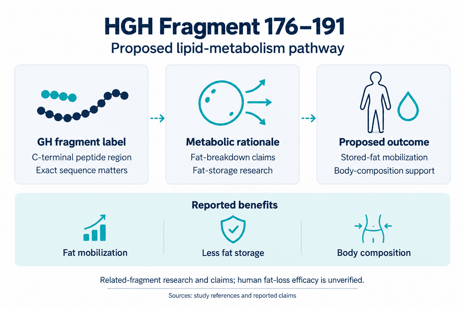 HGH Fragment 176–191. Proposed lipid-metabolism pathway. GH fragment label: C-terminal peptide region: Exact sequence matters. Metabolic rationale: Fat-breakdown claims: Fat-storage research. Proposed outcome: Stored-fat mobilization: Body-composition support. Reported benefits: Fat mobilization, Less fat storage, Body composition. Related-fragment research and claims; human fat-loss efficacy is unverified.