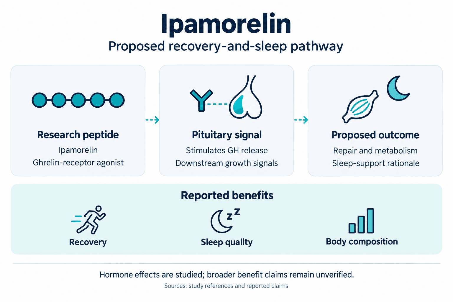 Ipamorelin. Proposed recovery-and-sleep pathway. Research peptide: Ipamorelin: Ghrelin-receptor agonist. Pituitary signal: Stimulates GH release: Downstream growth signals. Proposed outcome: Repair and metabolism: Sleep-support rationale. Reported benefits: Recovery, Sleep quality, Body composition. Hormone effects are studied; broader benefit claims remain unverified.