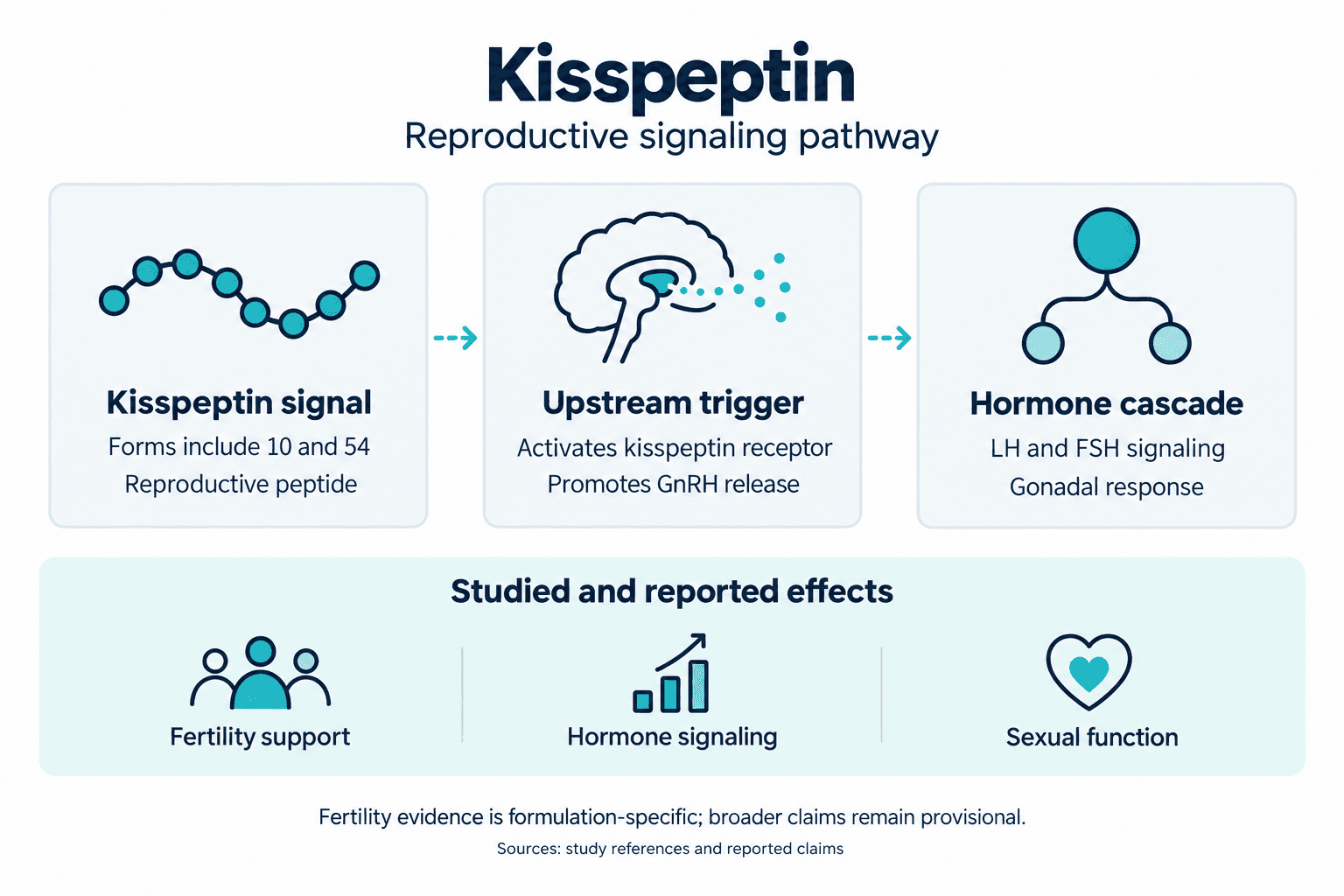 Kisspeptin. Reproductive signaling pathway. Kisspeptin signal: Forms include 10 and 54: Reproductive peptide. Upstream trigger: Activates kisspeptin receptor: Promotes GnRH release. Hormone cascade: LH and FSH signaling: Gonadal response. Studied and reported effects: Fertility support, Hormone signaling, Sexual function. Fertility evidence is formulation-specific; broader claims remain provisional.