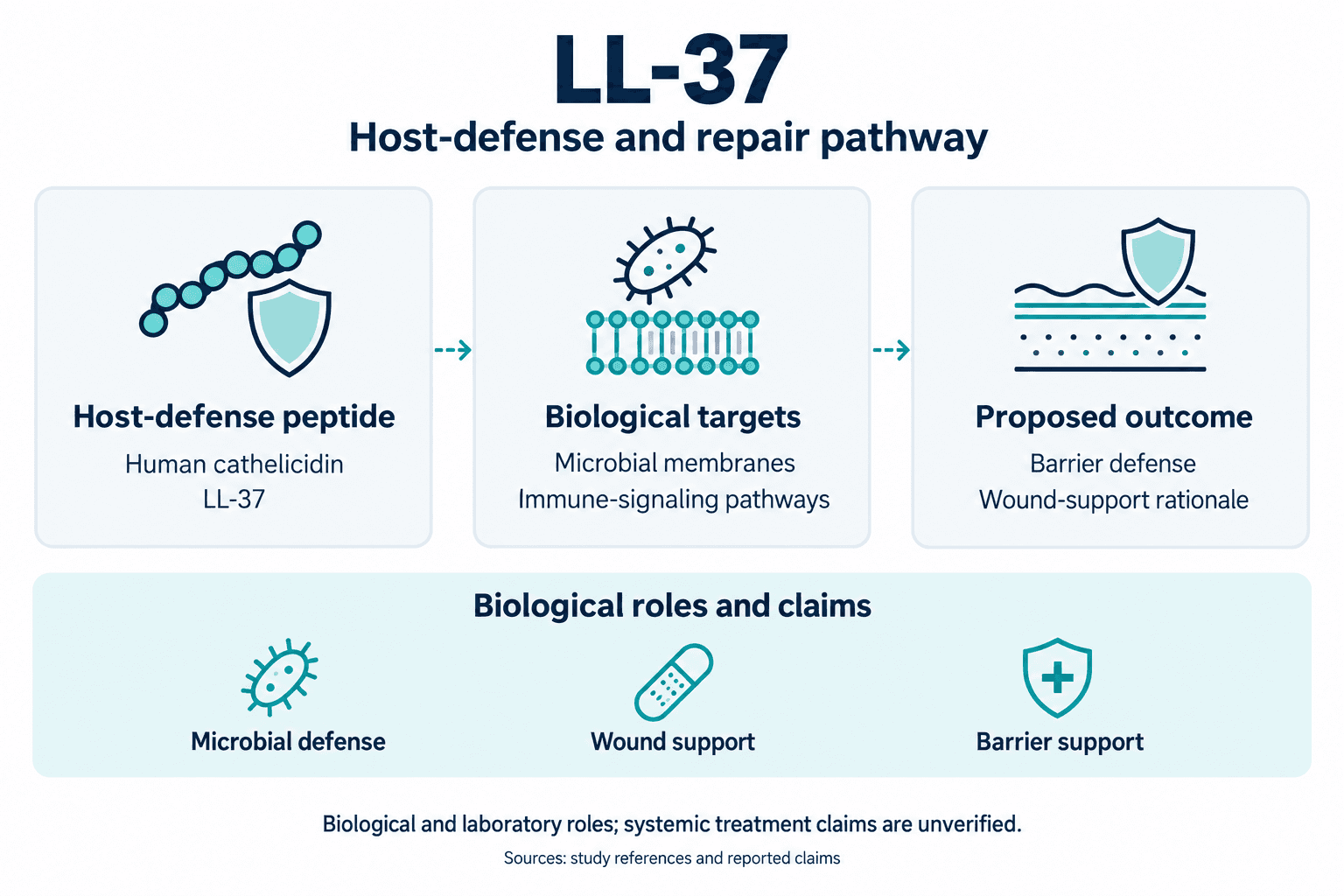 LL-37. Host-defense and repair pathway. Host-defense peptide: Human cathelicidin: LL-37. Biological targets: Microbial membranes: Immune-signaling pathways. Proposed outcome: Barrier defense: Wound-support rationale. Biological roles and claims: Microbial defense, Wound support, Barrier support. Biological and laboratory roles; systemic treatment claims are unverified.