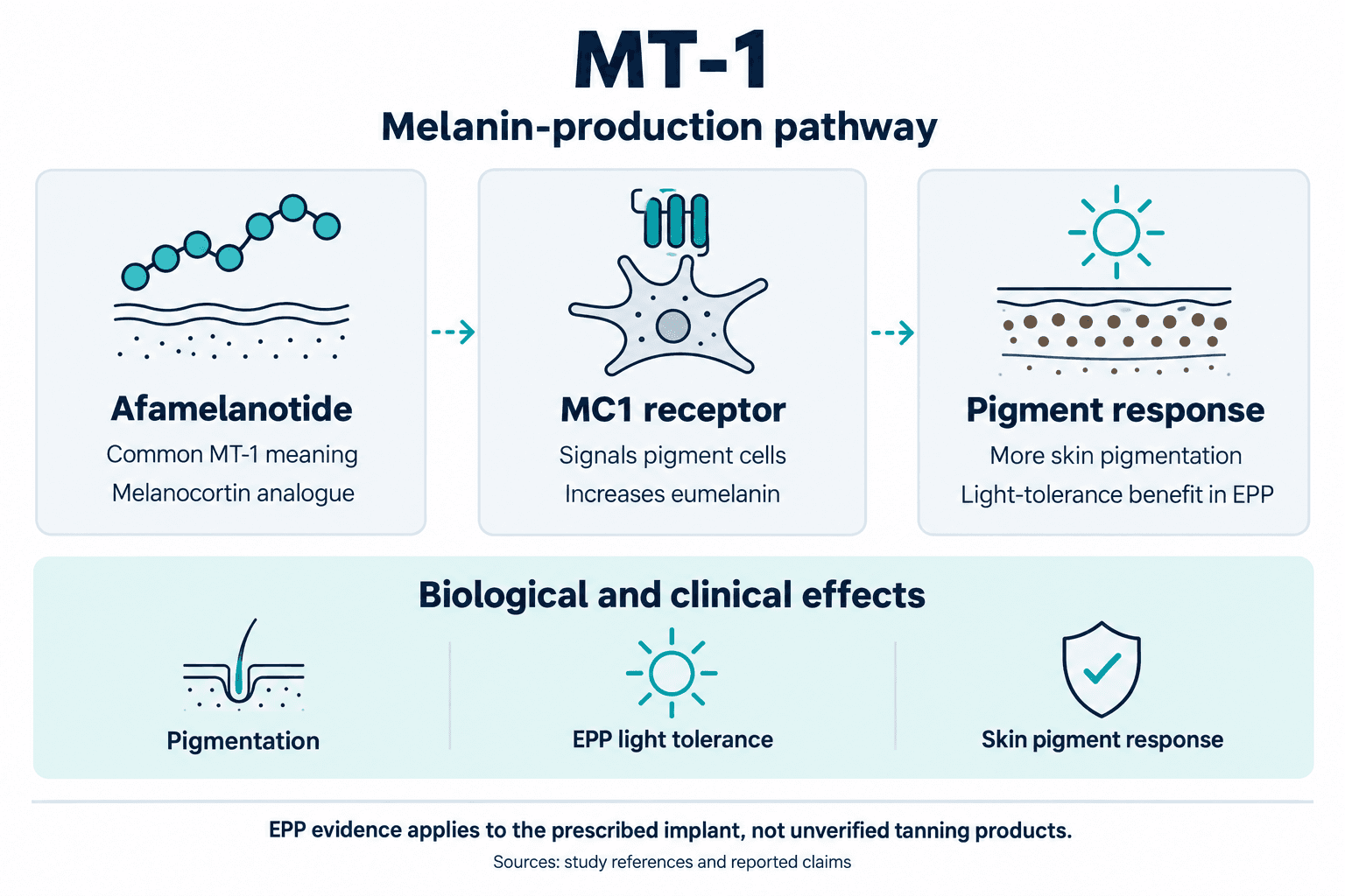 MT-1. Melanin-production pathway. Afamelanotide: Common MT-1 meaning: Melanocortin analogue. MC1 receptor: Signals pigment cells: Increases eumelanin. Pigment response: More skin pigmentation: Light-tolerance benefit in EPP. Biological and clinical effects: Pigmentation, EPP light tolerance, Skin pigment response. EPP evidence applies to the prescribed implant, not unverified tanning products.