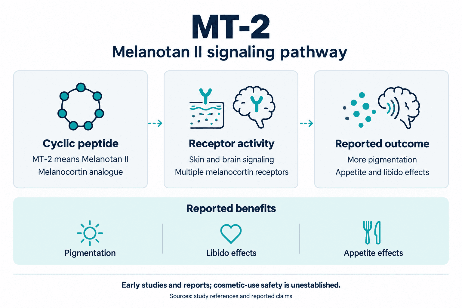 MT-2. Melanotan II signaling pathway. Cyclic peptide: MT-2 means Melanotan II: Melanocortin analogue. Receptor activity: Skin and brain signaling: Multiple melanocortin receptors. Reported outcome: More pigmentation: Appetite and libido effects. Reported benefits: Pigmentation, Libido effects, Appetite effects. Early studies and reports; cosmetic-use safety is unestablished.