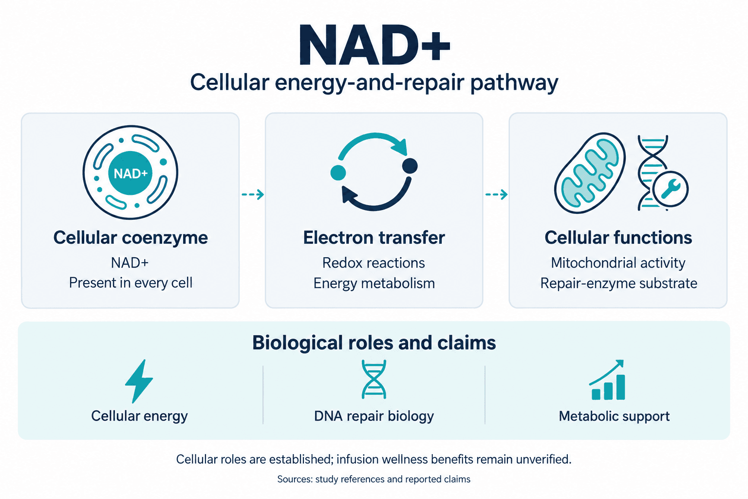NAD+. Cellular energy-and-repair pathway. Cellular coenzyme: NAD+: Present in every cell. Electron transfer: Redox reactions: Energy metabolism. Cellular functions: Mitochondrial activity: Repair-enzyme substrate. Biological roles and claims: Cellular energy, DNA repair biology, Metabolic support. Cellular roles are established; infusion wellness benefits remain unverified.