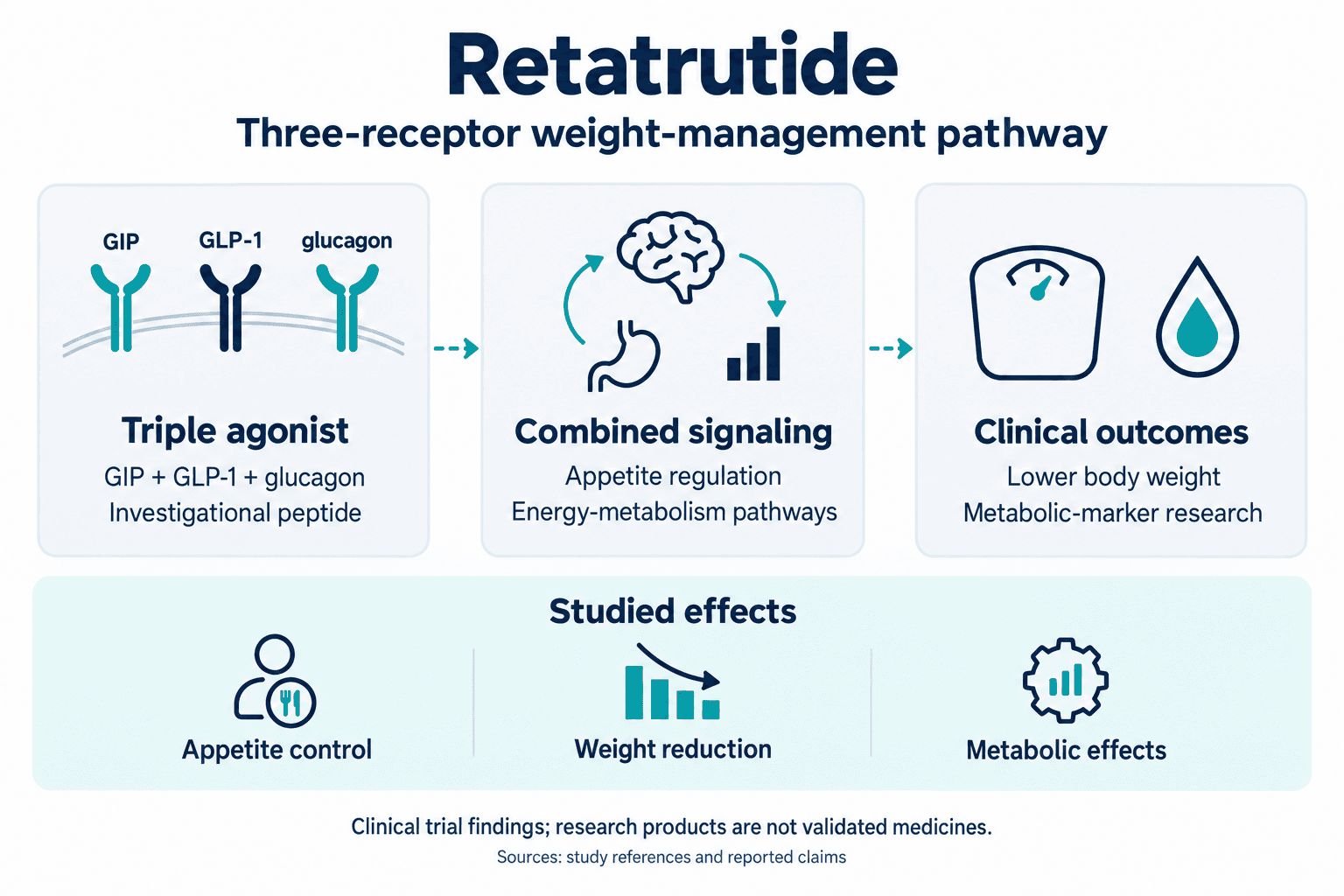 Retatrutide. Three-receptor weight-management pathway. Triple agonist: GIP + GLP-1 + glucagon: Investigational peptide. Combined signaling: Appetite regulation: Energy-metabolism pathways. Clinical outcomes: Lower body weight: Metabolic-marker research. Studied effects: Appetite control, Weight reduction, Metabolic effects. Clinical trial findings; research products are not validated medicines.
