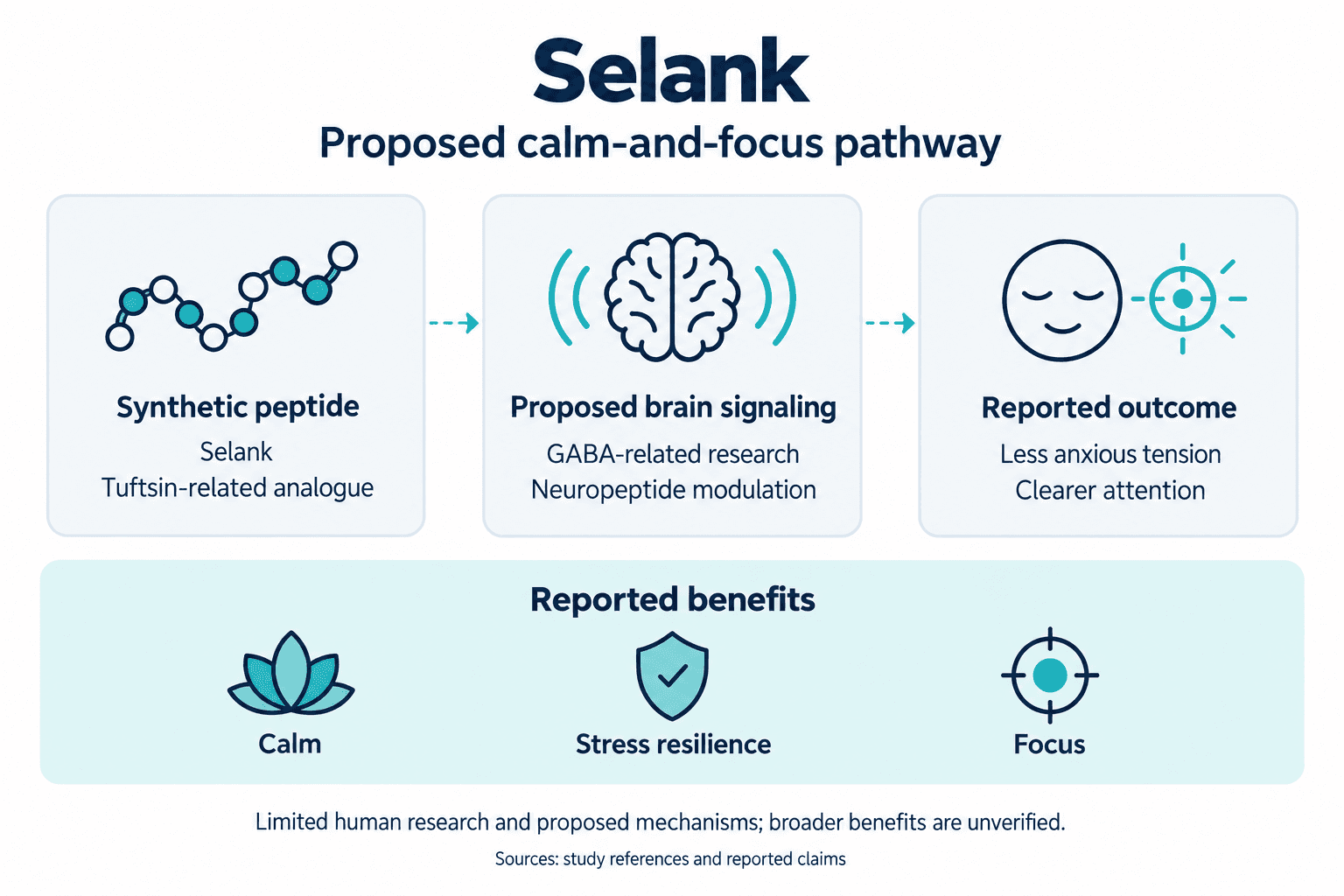 Selank. Proposed calm-and-focus pathway. Synthetic peptide: Selank: Tuftsin-related analogue. Proposed brain signaling: GABA-related research: Neuropeptide modulation. Reported outcome: Less anxious tension: Clearer attention. Reported benefits: Calm, Stress resilience, Focus. Limited human research and proposed mechanisms; broader benefits are unverified.