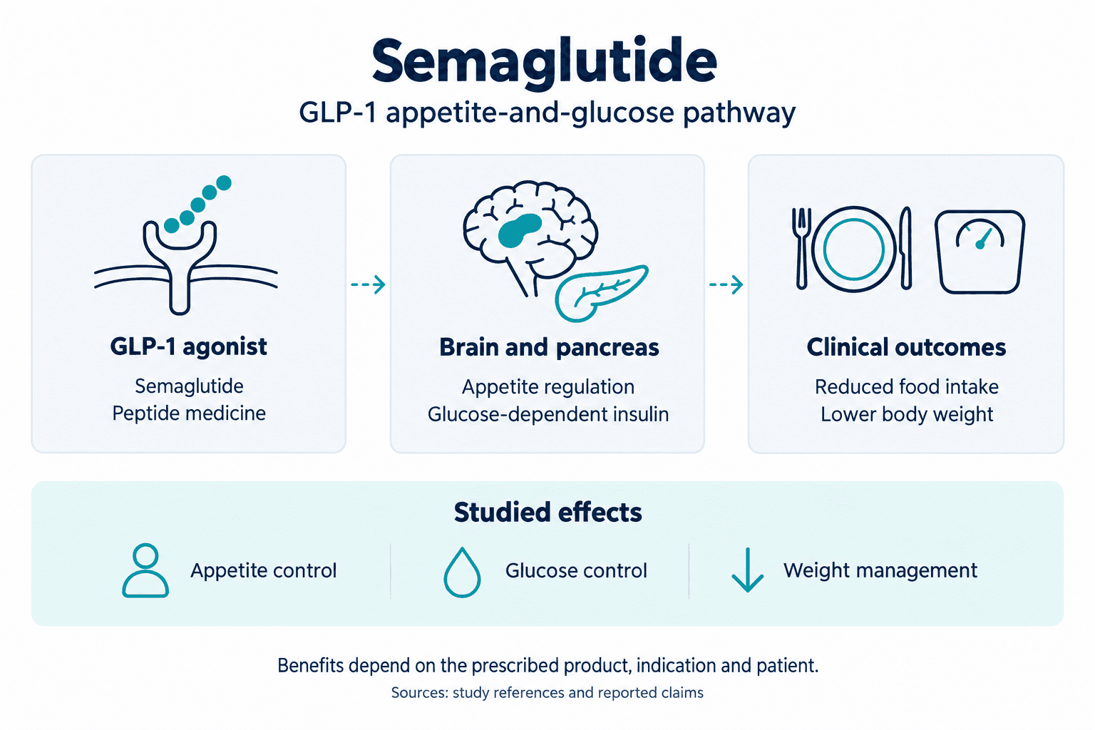 Semaglutide. GLP-1 appetite-and-glucose pathway. GLP-1 agonist: Semaglutide: Peptide medicine. Brain and pancreas: Appetite regulation: Glucose-dependent insulin. Clinical outcomes: Reduced food intake: Lower body weight. Studied effects: Appetite control, Glucose control, Weight management. Benefits depend on the prescribed product, indication and patient.