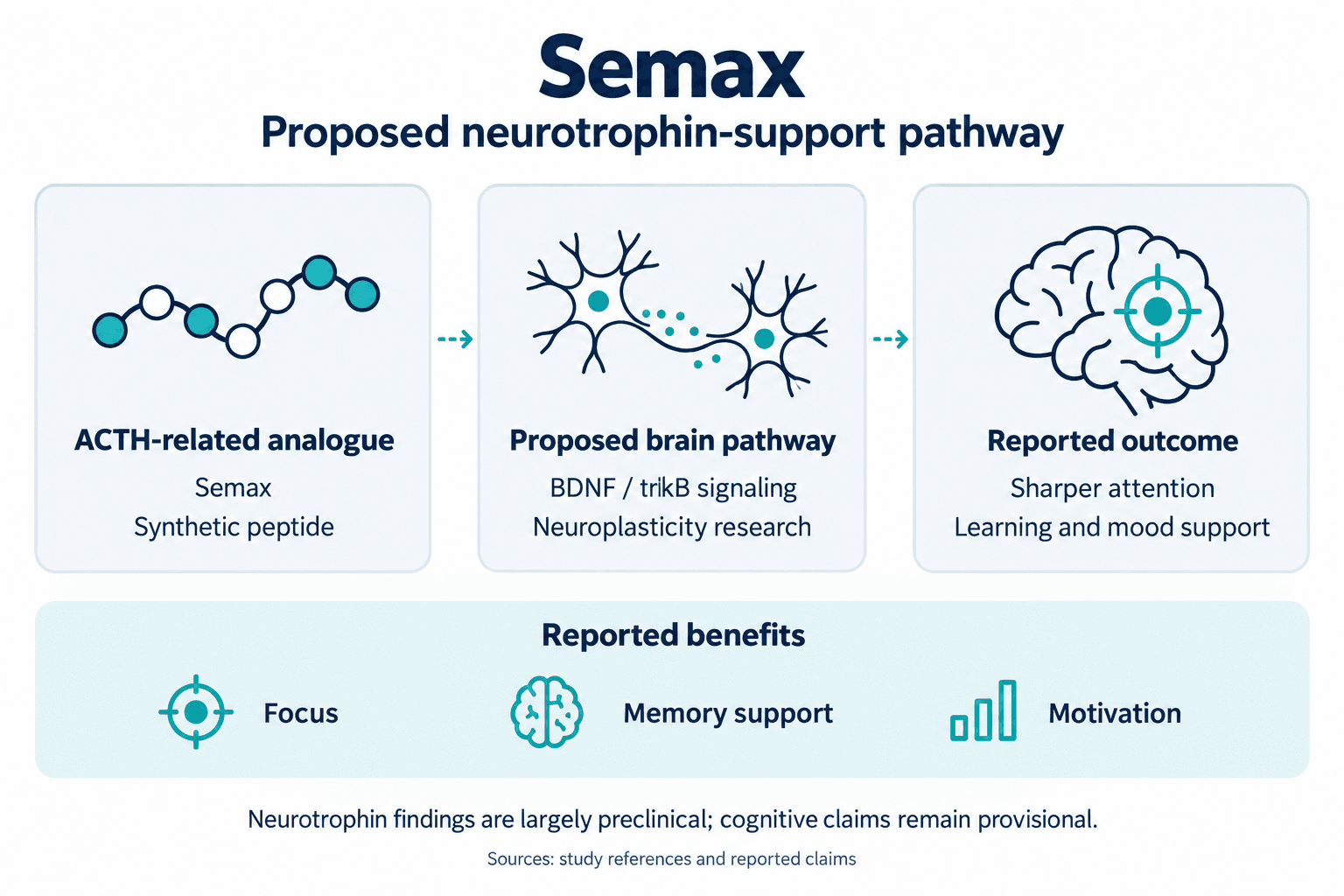 Semax. Proposed neurotrophin-support pathway. ACTH-related analogue: Semax: Synthetic peptide. Proposed brain pathway: BDNF / trkB signaling: Neuroplasticity research. Reported outcome: Sharper attention: Learning and mood support. Reported benefits: Focus, Memory support, Motivation. Neurotrophin findings are largely preclinical; cognitive claims remain provisional.