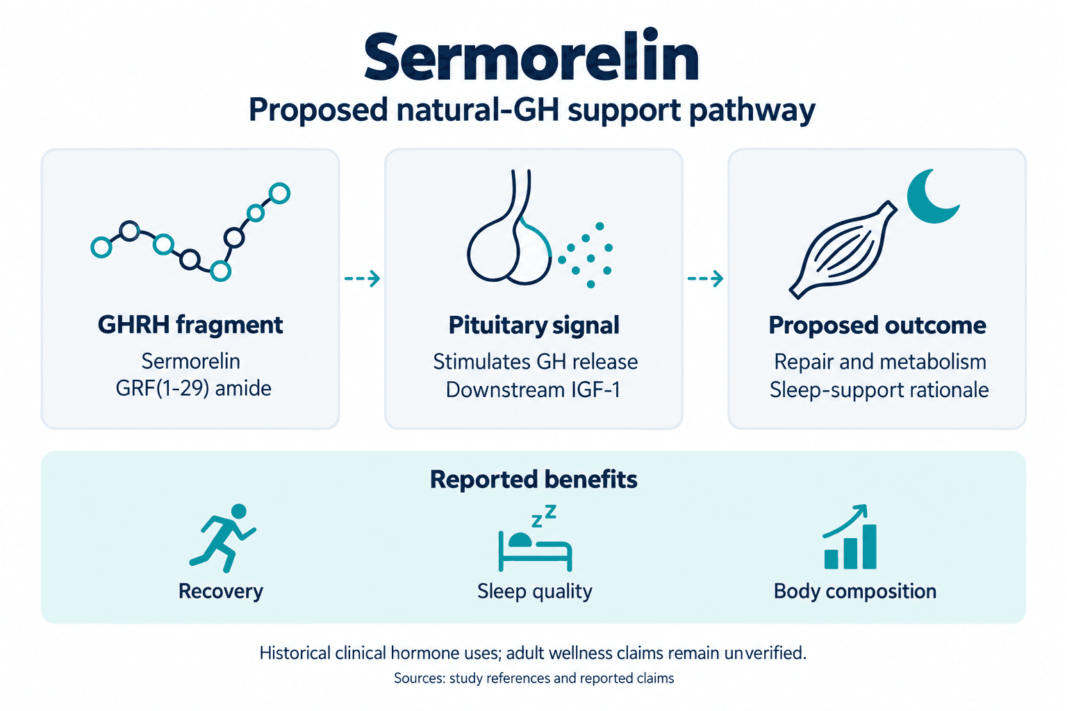 Sermorelin. Proposed natural-GH support pathway. GHRH fragment: Sermorelin: GRF(1-29) amide. Pituitary signal: Stimulates GH release: Downstream IGF-1. Proposed outcome: Repair and metabolism: Sleep-support rationale. Reported benefits: Recovery, Sleep quality, Body composition. Historical clinical hormone uses; adult wellness claims remain unverified.