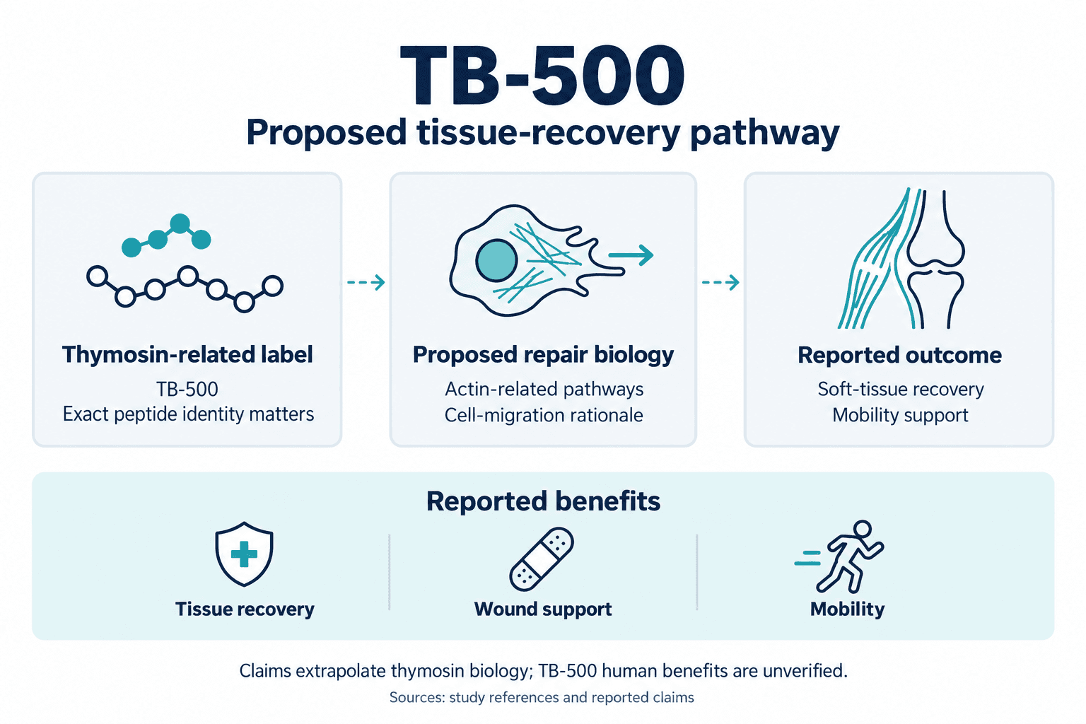 TB-500. Proposed tissue-recovery pathway. Thymosin-related label: TB-500: Exact peptide identity matters. Proposed repair biology: Actin-related pathways: Cell-migration rationale. Reported outcome: Soft-tissue recovery: Mobility support. Reported benefits: Tissue recovery, Wound support, Mobility. Claims extrapolate thymosin biology; TB-500 human benefits are unverified.
