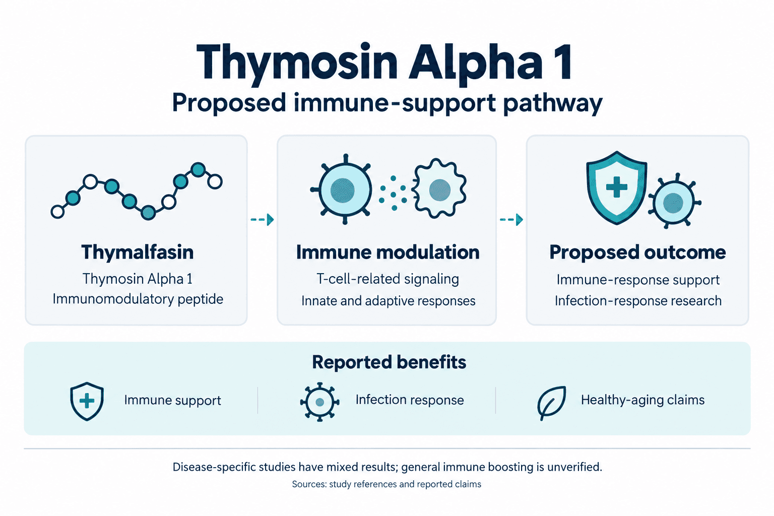 Thymosin Alpha 1. Proposed immune-support pathway. Thymalfasin: Thymosin Alpha 1: Immunomodulatory peptide. Immune modulation: T-cell-related signaling: Innate and adaptive responses. Proposed outcome: Immune-response support: Infection-response research. Reported benefits: Immune support, Infection response, Healthy-aging claims. Disease-specific studies have mixed results; general immune boosting is unverified.